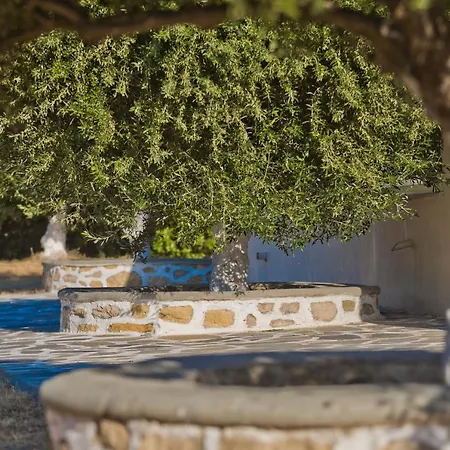Apartment Olive #4 Karpathos Town (Pigadia)
