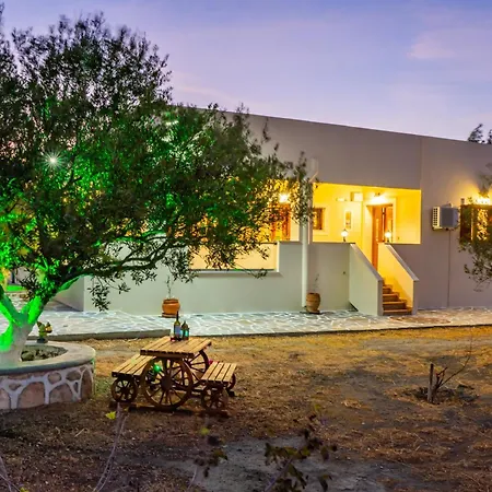 Olive #4 卡尔帕索斯