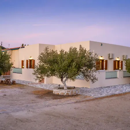 Olive #4 Karpathos Town (Pigadia)