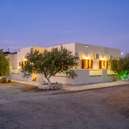 Olive #4 Appartement