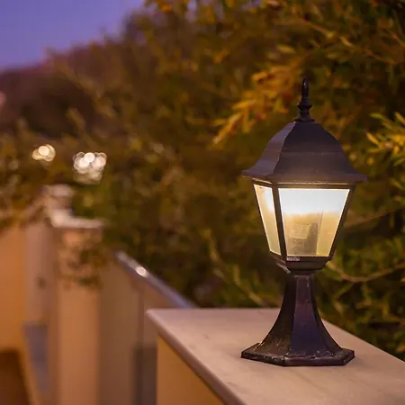 Olive #4 卡尔帕索斯