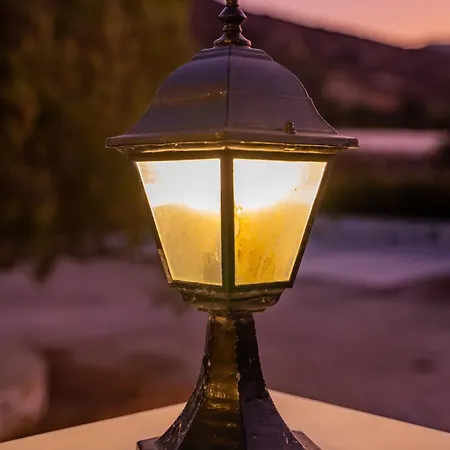 Olive #4 * קרפאטוס