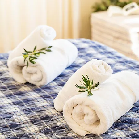 Olive #4 Appartement