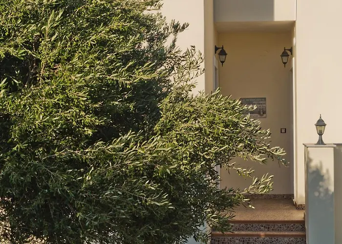 Διαμέρισμα Olive #4 Κάρπαθος