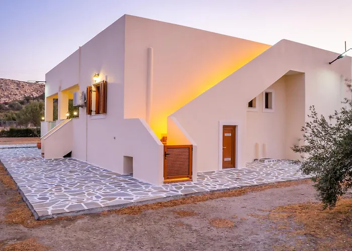 Olive #4 Daire Kerpe